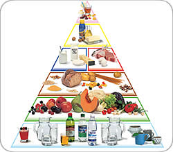 Die Nahrungsmittel-Pyramide